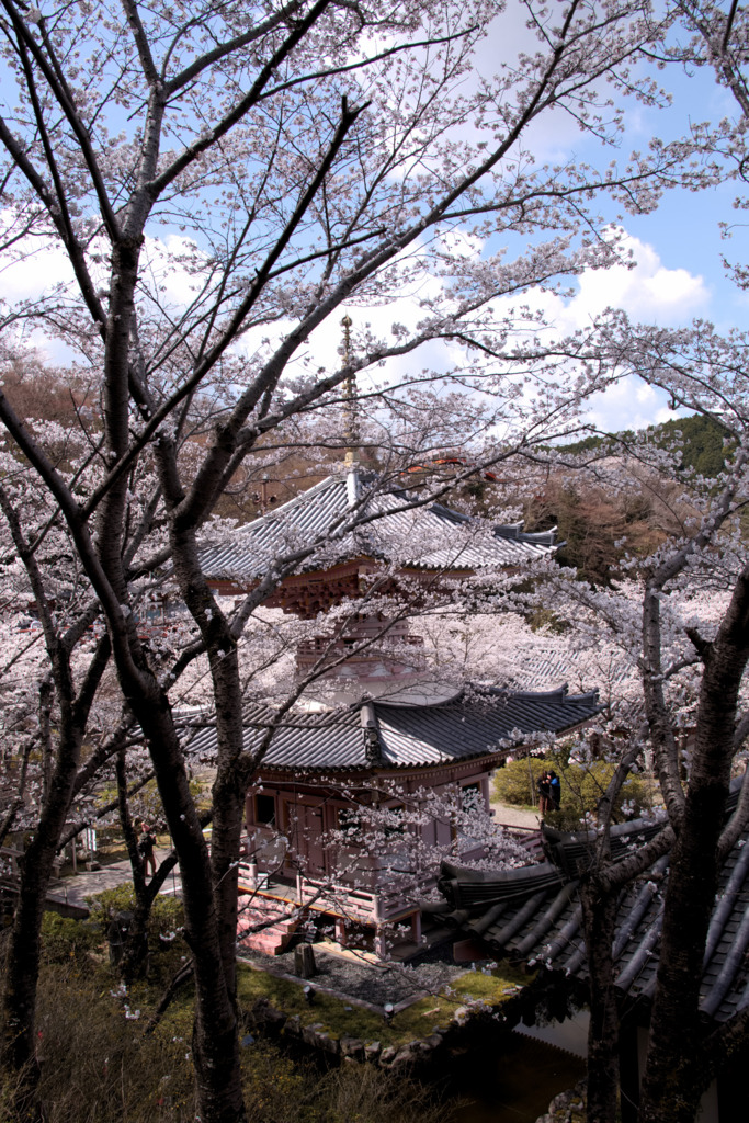 画像6