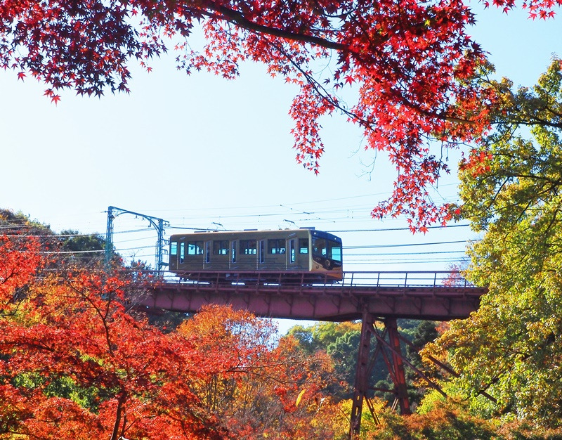 画像7