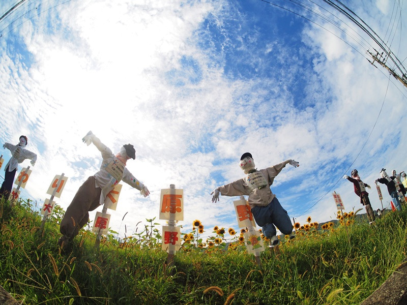 画像5
