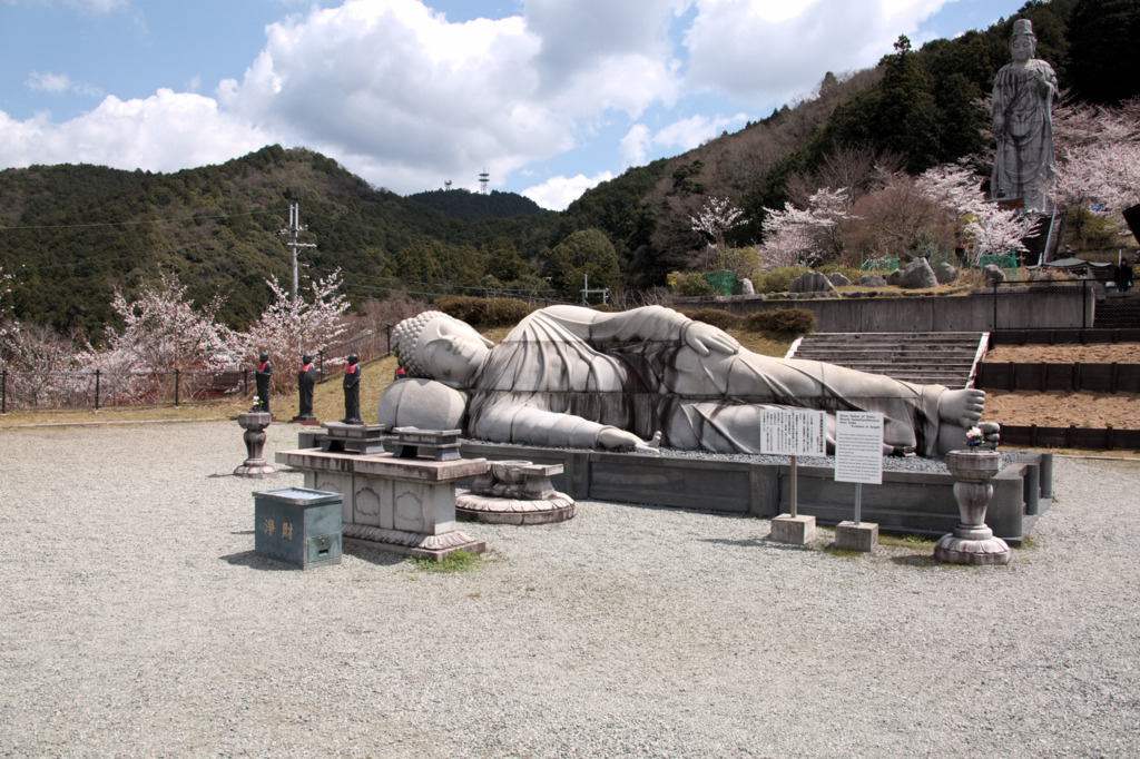 画像8