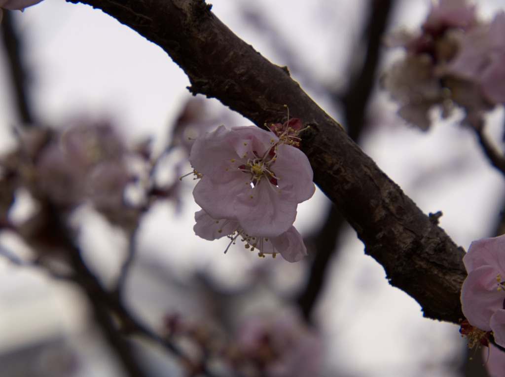 画像8