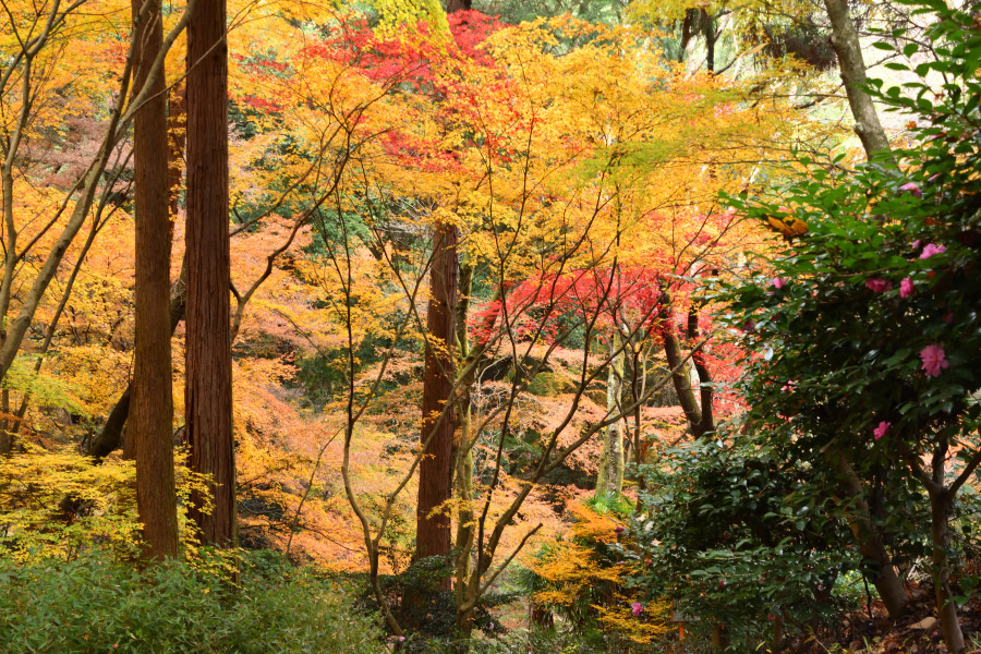 画像2