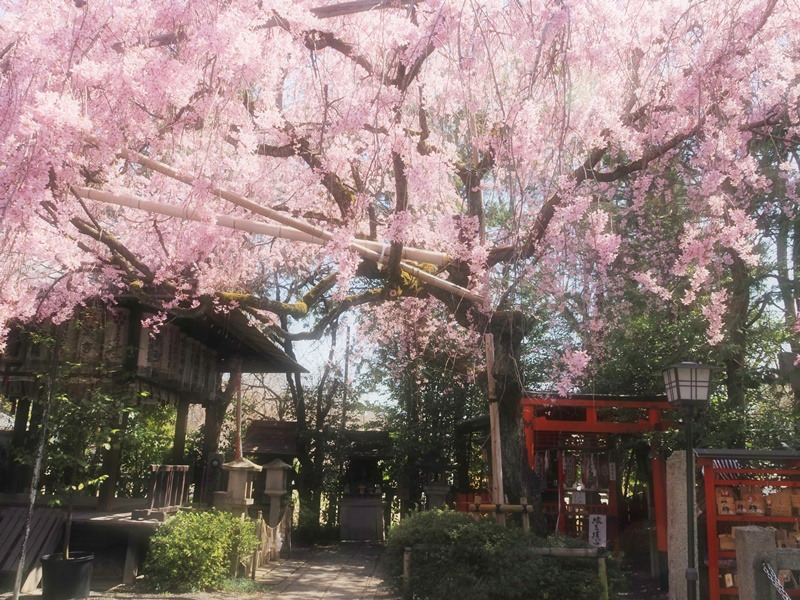 画像7