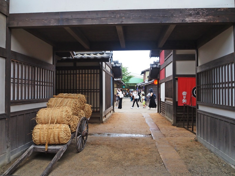 画像8
