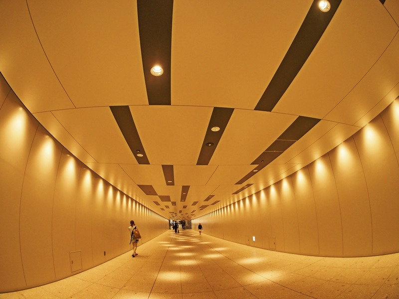 画像8