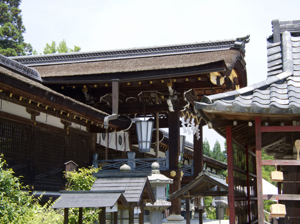 画像8