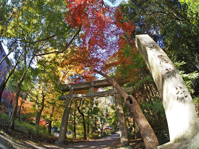 画像2