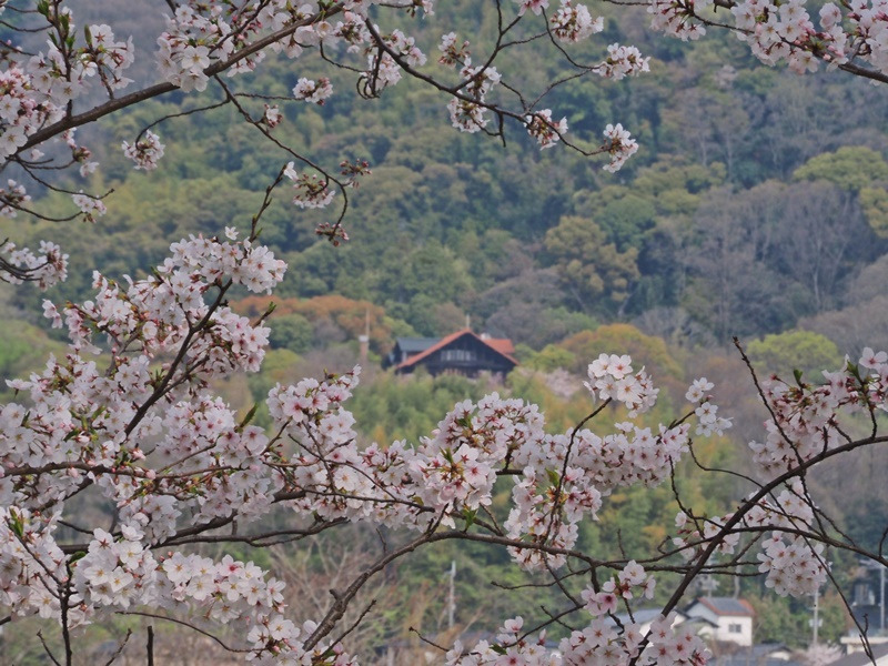 ６日お天気