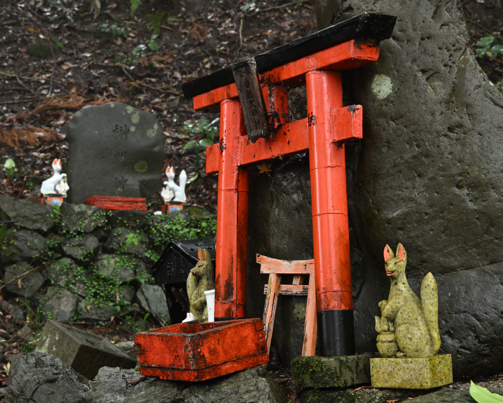 画像6