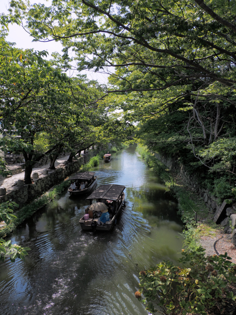 画像7
