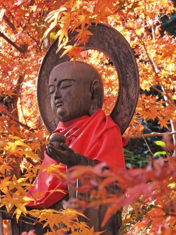 画像6
