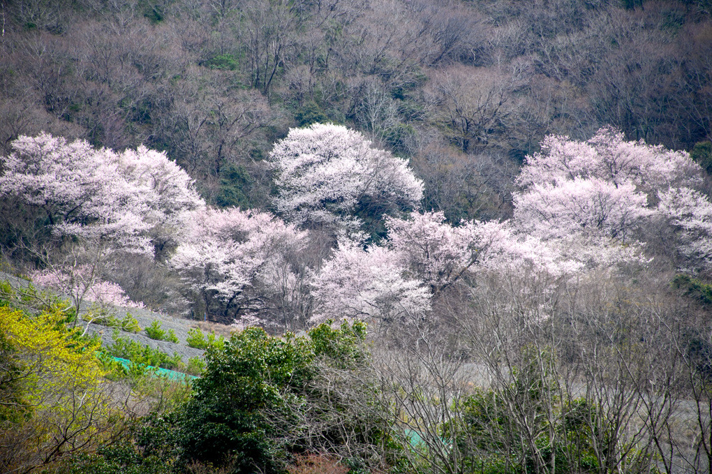 画像8