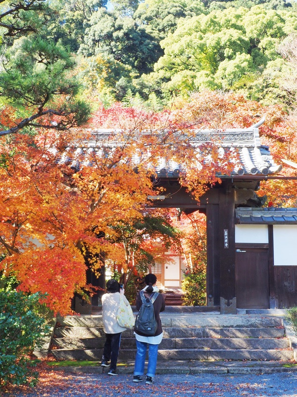 画像8