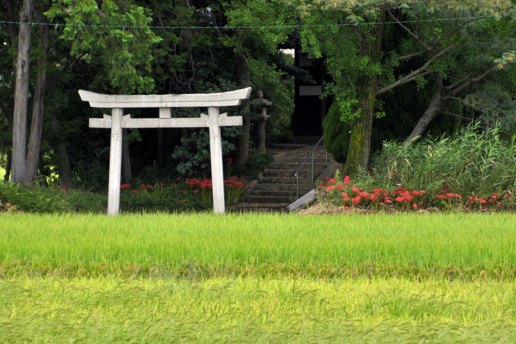 画像1