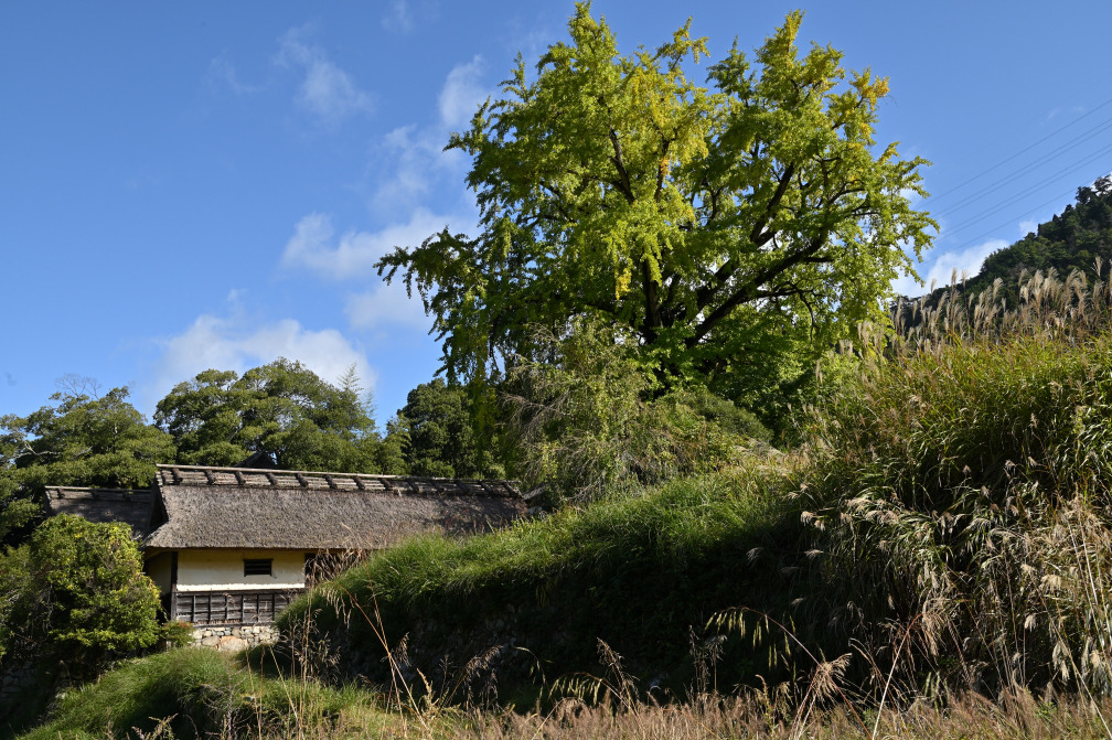 画像3