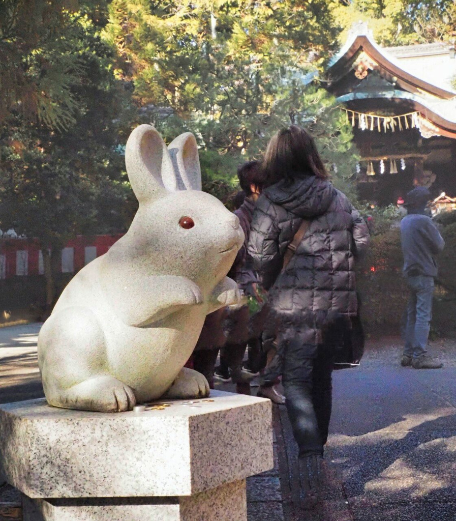 画像4