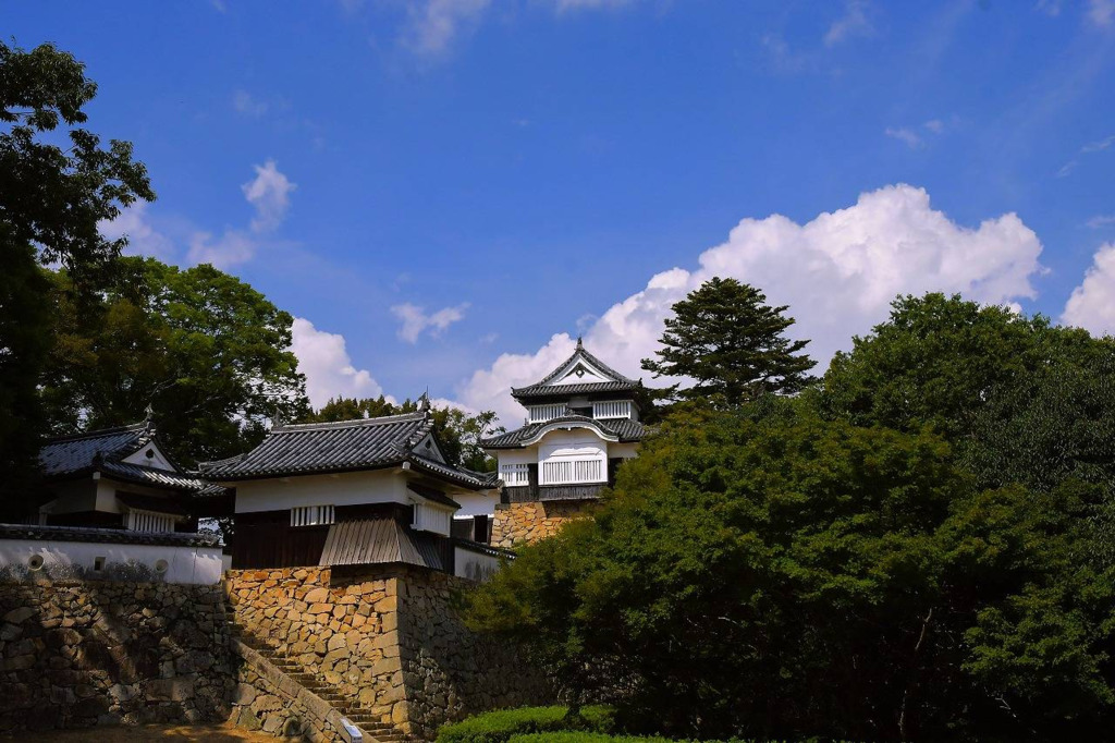 画像2