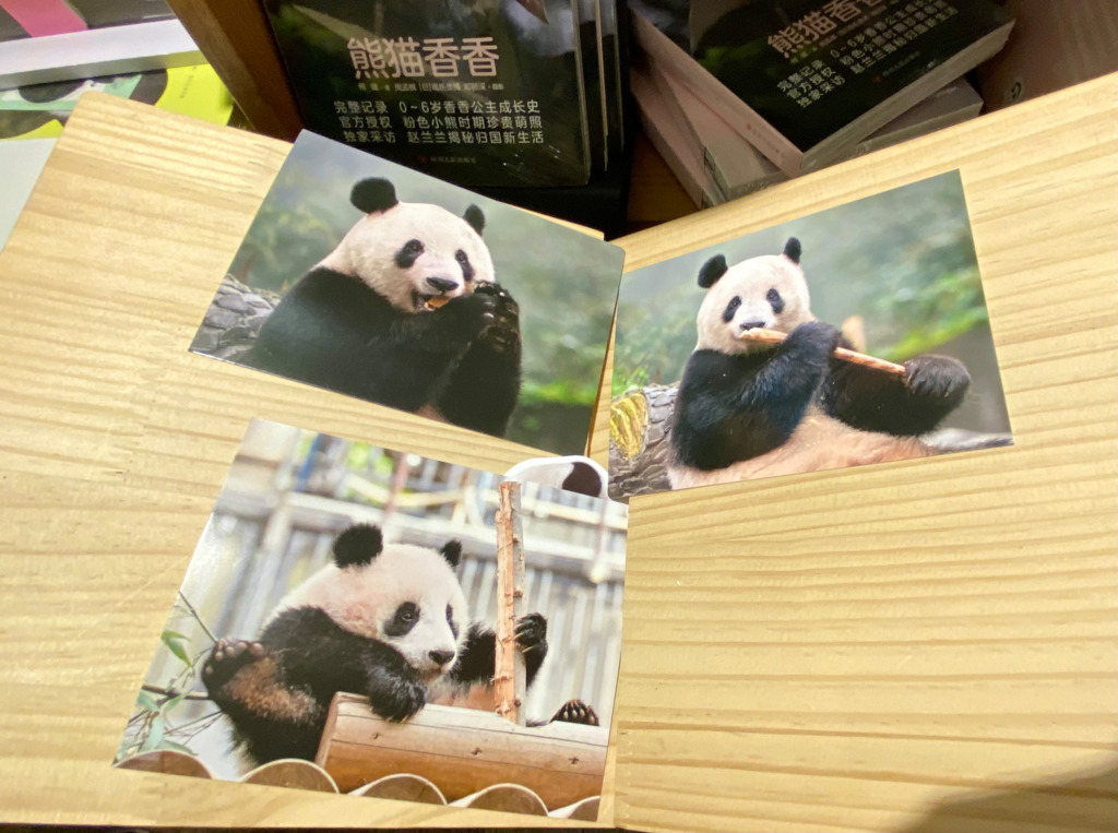 画像5
