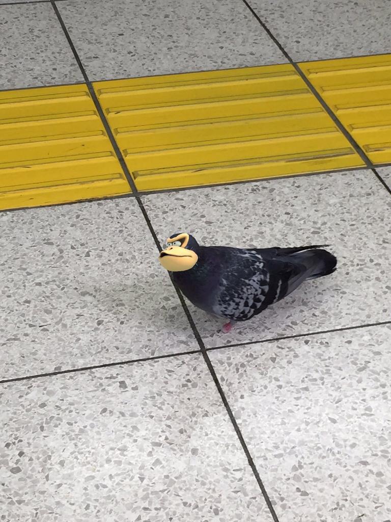 画像1